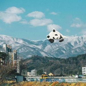 vps联盟小驴导航
