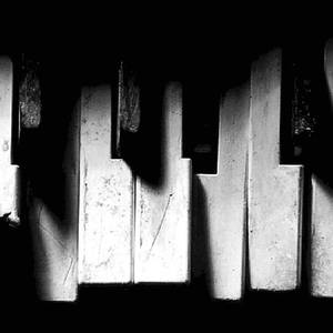 vps联盟小驴导航
